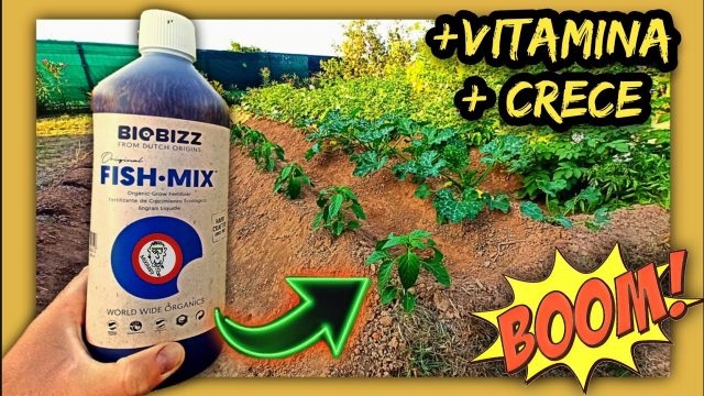 Mejor FERTILIZANTE ORGÁNICO para Plantas AGRICULTURA ECOLÓGICA (Fish-Mix de Biobizz) by mixim89