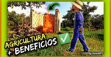 Quemar o triturar restos de poda y aprovecharlo como fertilizante organico micro y macronutrientes esenciales by mixim89