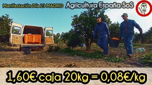 CAMPAÑA CATASTRÓFICA NAVELINA ¿Por qué se está hundiendo el Sector Agrícola en España? by mixim89