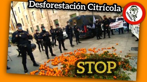 Manifestación AGRICULTURA (Valencia) 24 de febrero de 2022 (2°PARTE) by mixim89