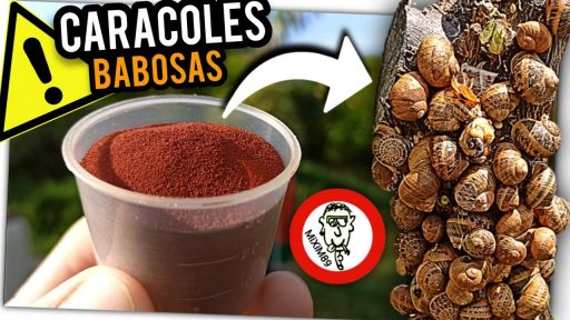 Elimina PLAGA de CARACOLES y BABOSAS con este Producto de Agricultura Ecológica by mixim89
