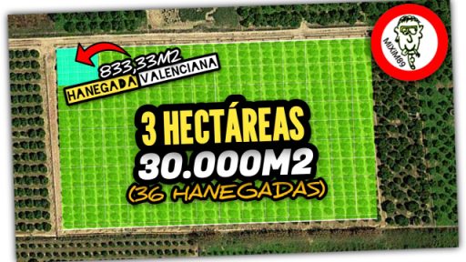 ¿Cuántos metros cuadrados tiene una hanegada o faneca? (Medida agrícola Valenciana más común) by mixim89
